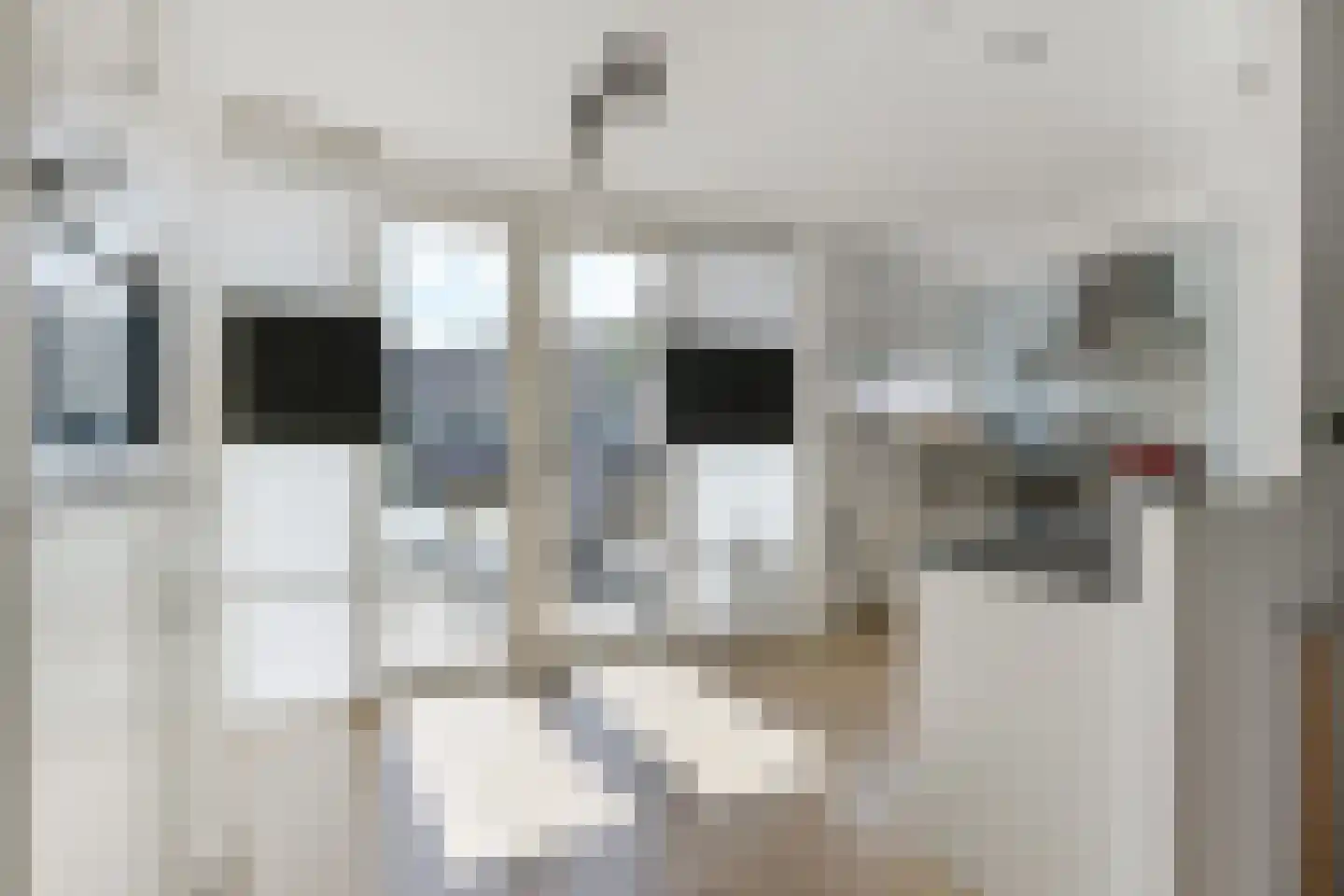 Lauwers 28 Nootdorp thumbnail 17