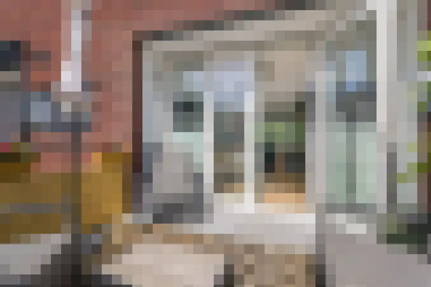 Lauwers 28 Nootdorp thumbnail 23