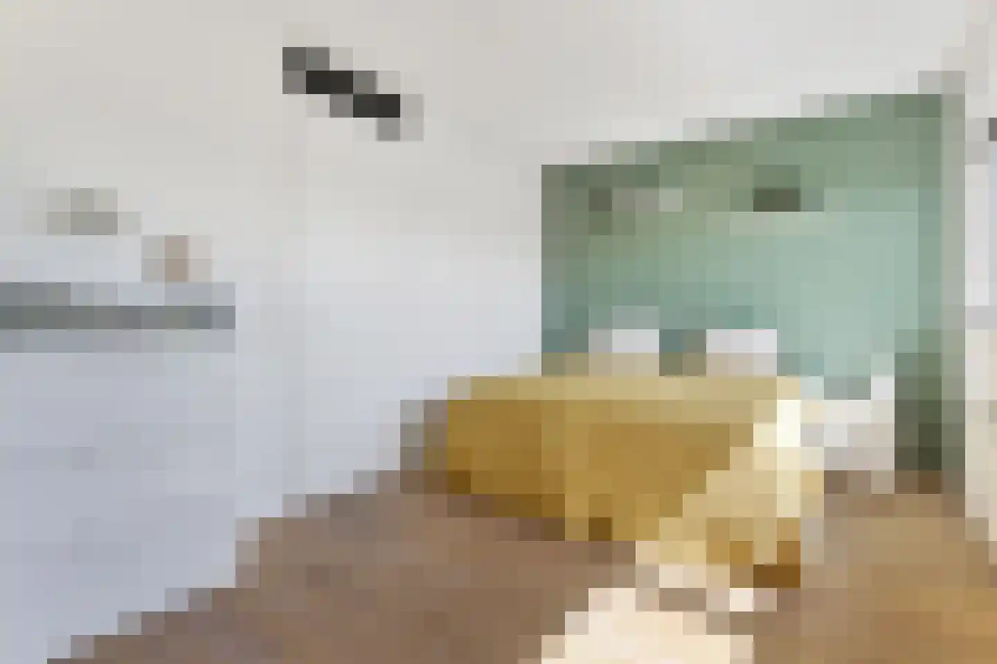 Lauwers 28 Nootdorp thumbnail 28