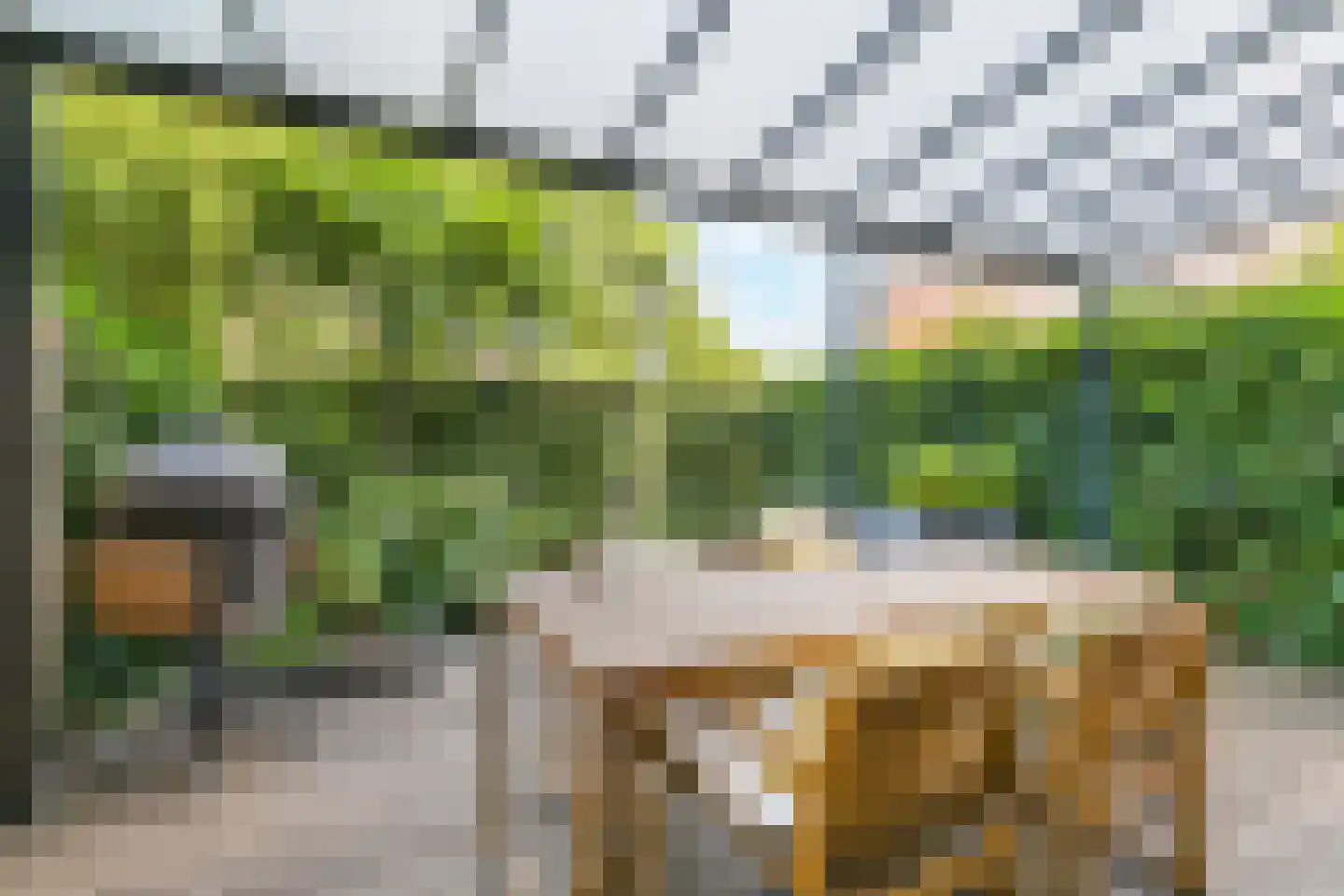 Lauwers 28 Nootdorp thumbnail 39