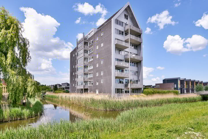 Lauwers 30 in Hoofddorp Foto