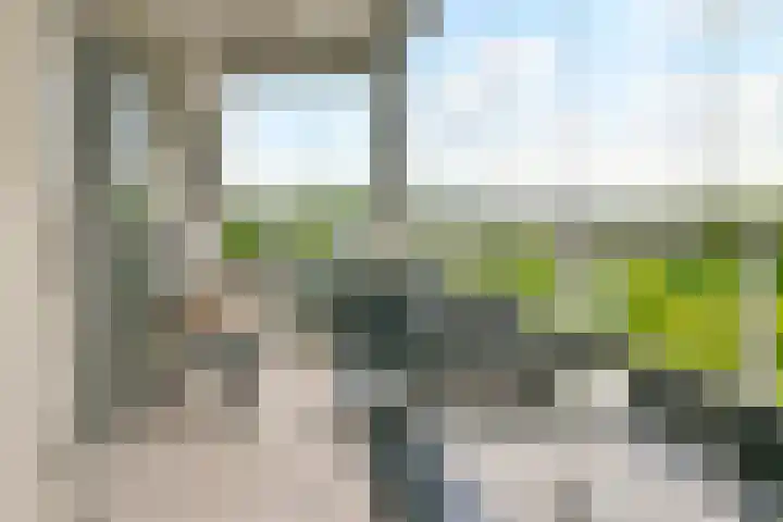 Lauwers 30 Hoofddorp thumbnail 29