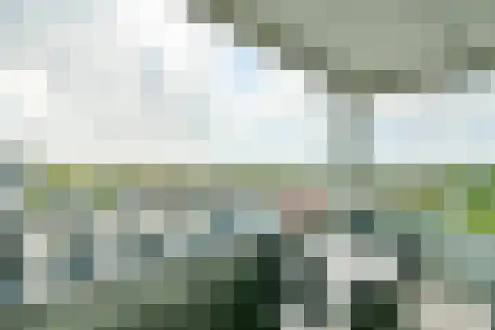 Lauwers 30 Hoofddorp thumbnail 30