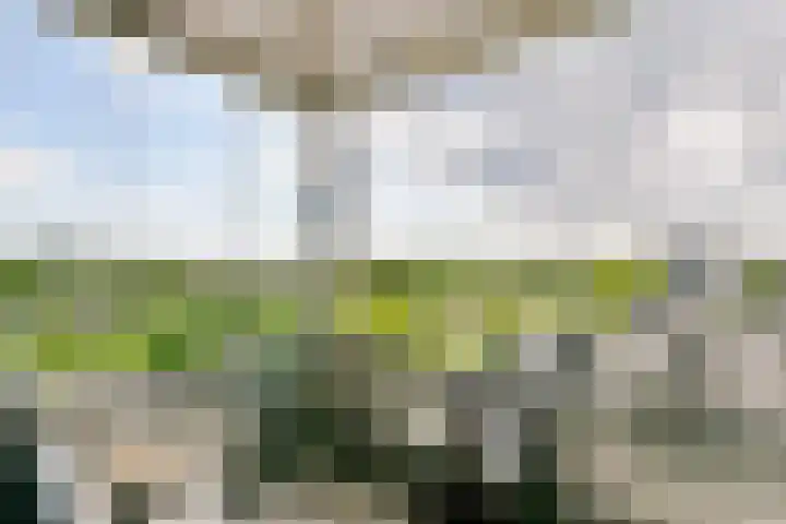 Lauwers 30 Hoofddorp thumbnail 31