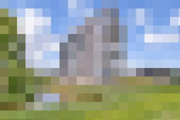 Lauwers 30 Hoofddorp thumbnail 4
