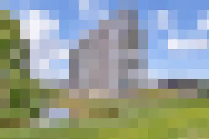 Lauwers 30 Hoofddorp thumbnail 45