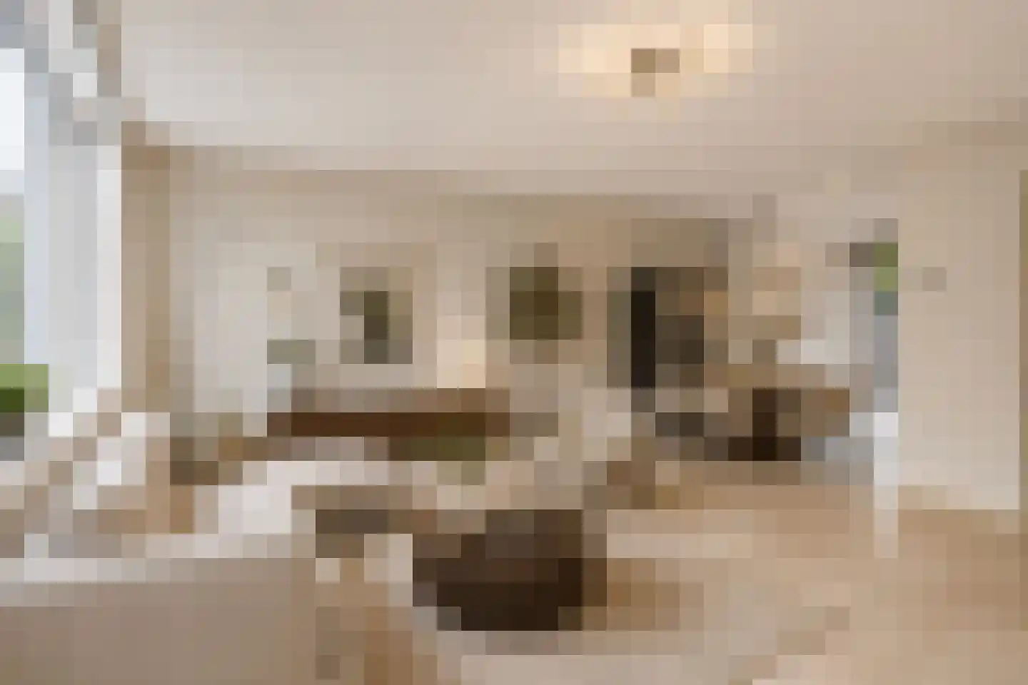 Lauwers 30 Nootdorp thumbnail 13