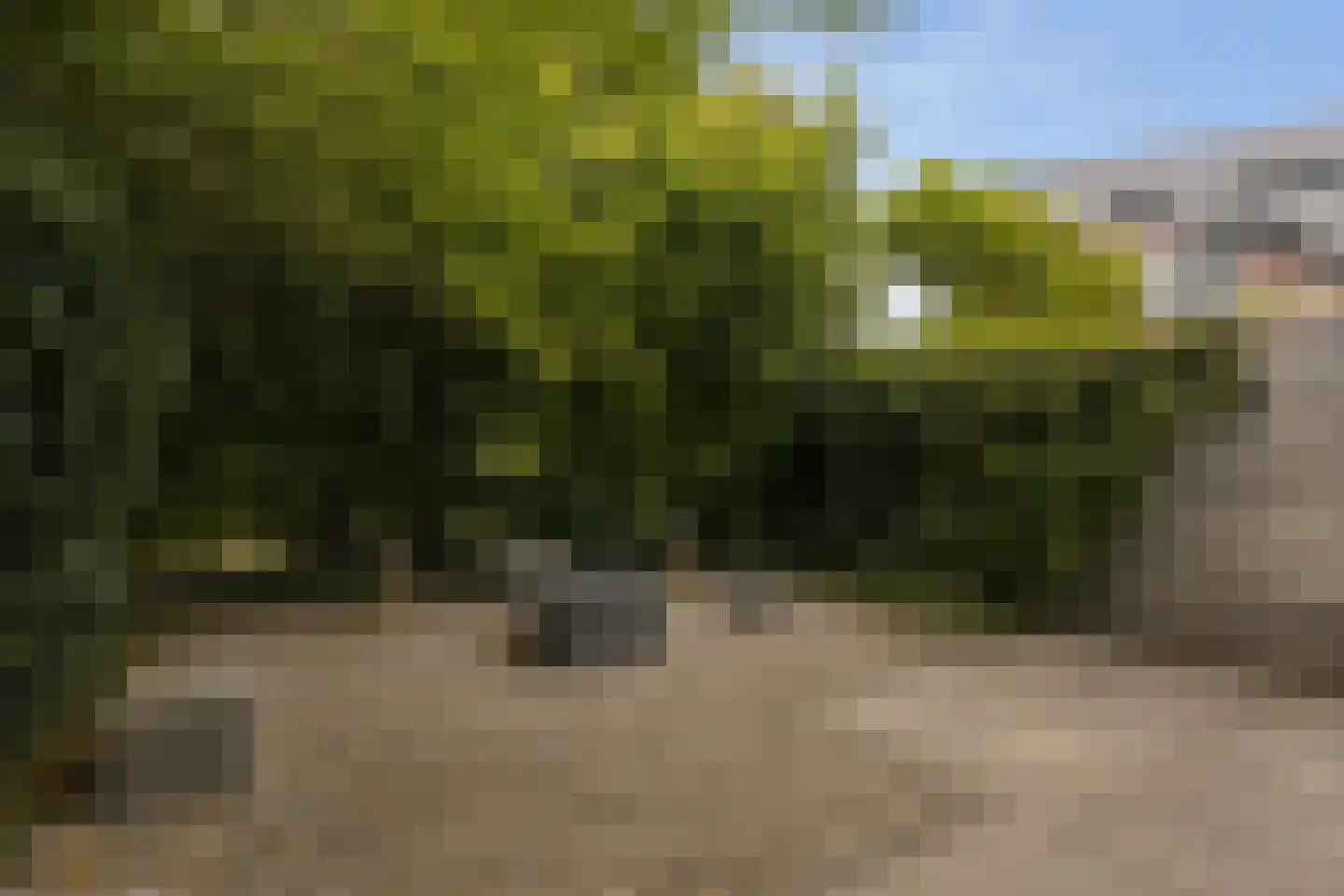 Lauwers 30 Nootdorp thumbnail 28