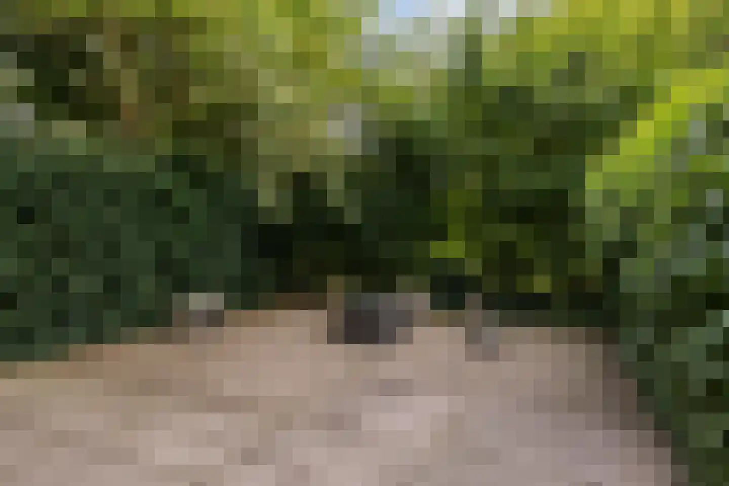 Lauwers 30 Nootdorp thumbnail 30