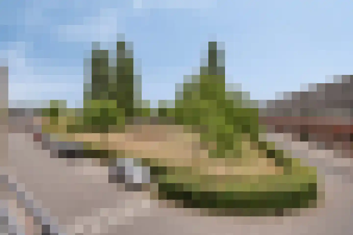 Lauwers 30 Nootdorp thumbnail 34
