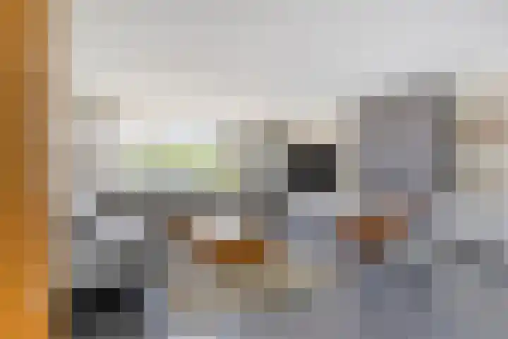 Lauwers 31 Zwijndrecht thumbnail 13