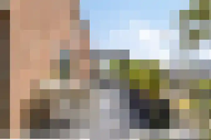 Lauwers 31 Zwijndrecht thumbnail 28