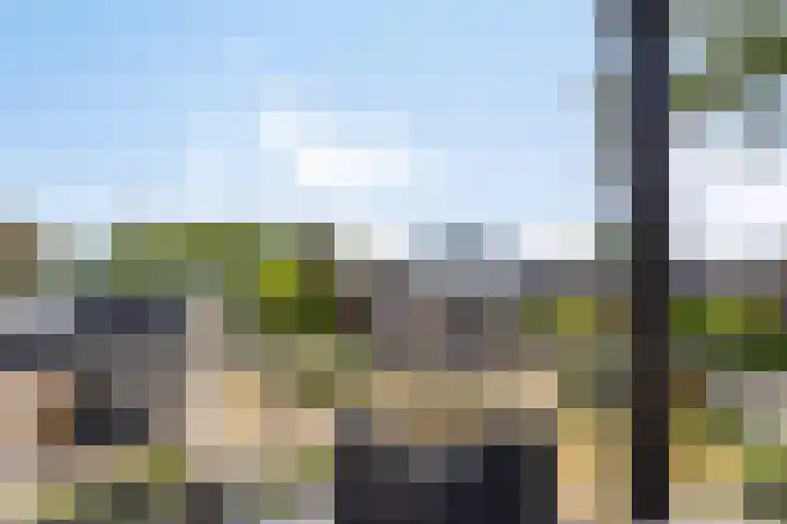 Lauwers 31 Zwijndrecht thumbnail 33