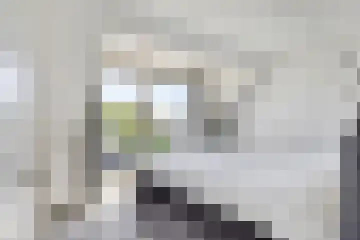 Lauwers 31 Zwijndrecht thumbnail 36
