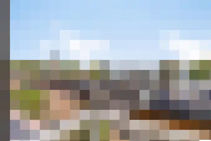 Lauwers 31 Zwijndrecht thumbnail 38