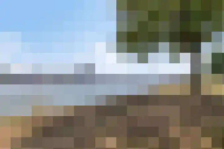 Lauwers 31 Zwijndrecht thumbnail 4