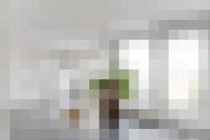 Lauwers 31 Zwijndrecht thumbnail 5