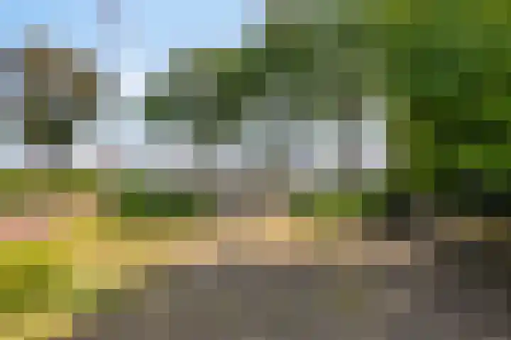 Lauwers 31 Zwijndrecht thumbnail 58