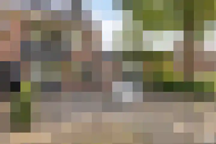 Lauwers 31 Zwijndrecht thumbnail 62