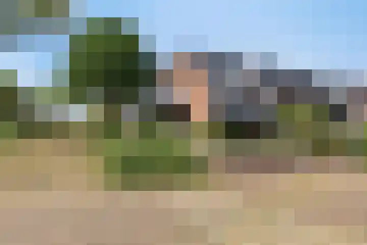 Lauwers 31 Zwijndrecht thumbnail 63