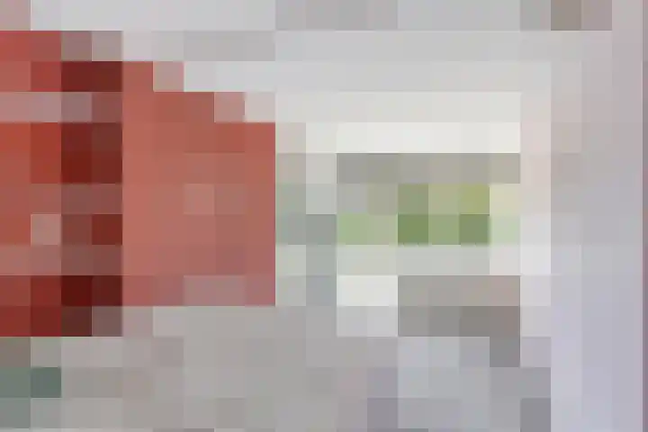 Lauwers 31 Zwijndrecht thumbnail 8