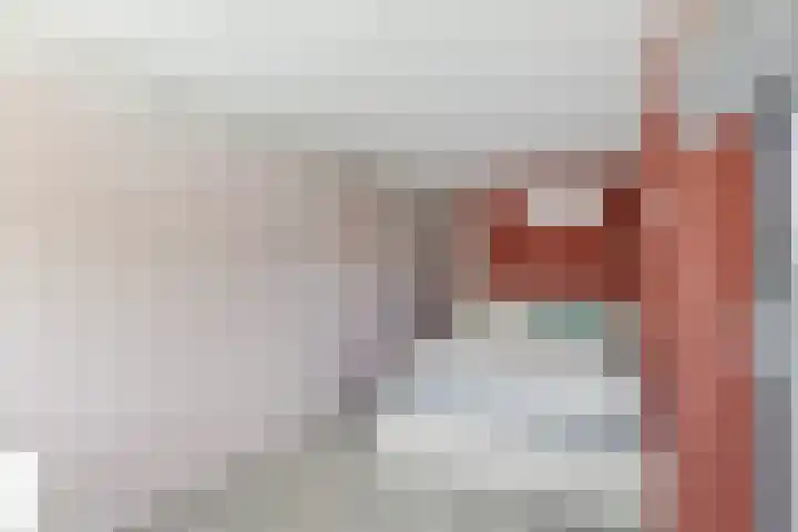 Lauwers 31 Zwijndrecht thumbnail 9