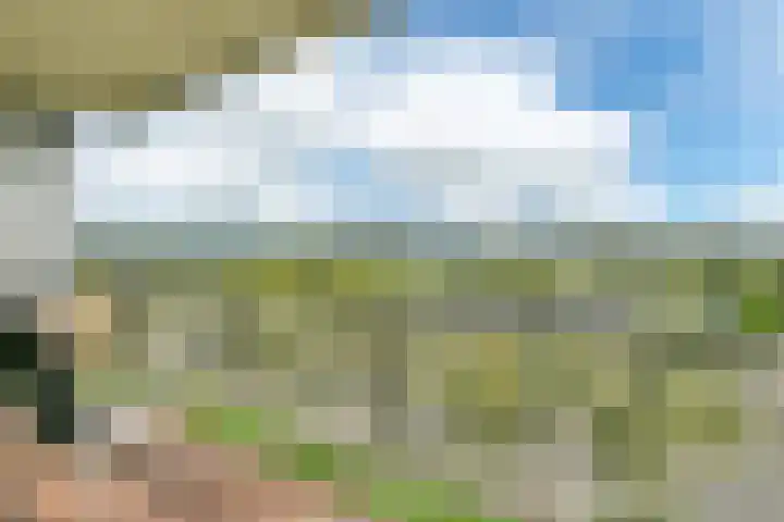 Lauwers 34 Hoofddorp thumbnail 29