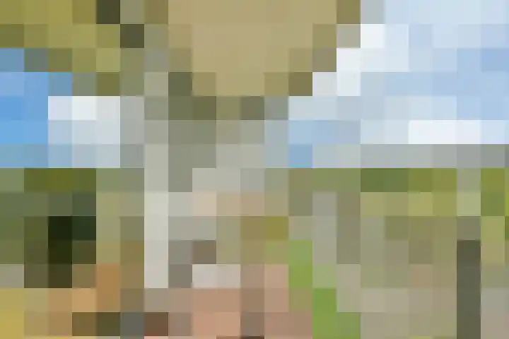 Lauwers 34 Hoofddorp thumbnail 39