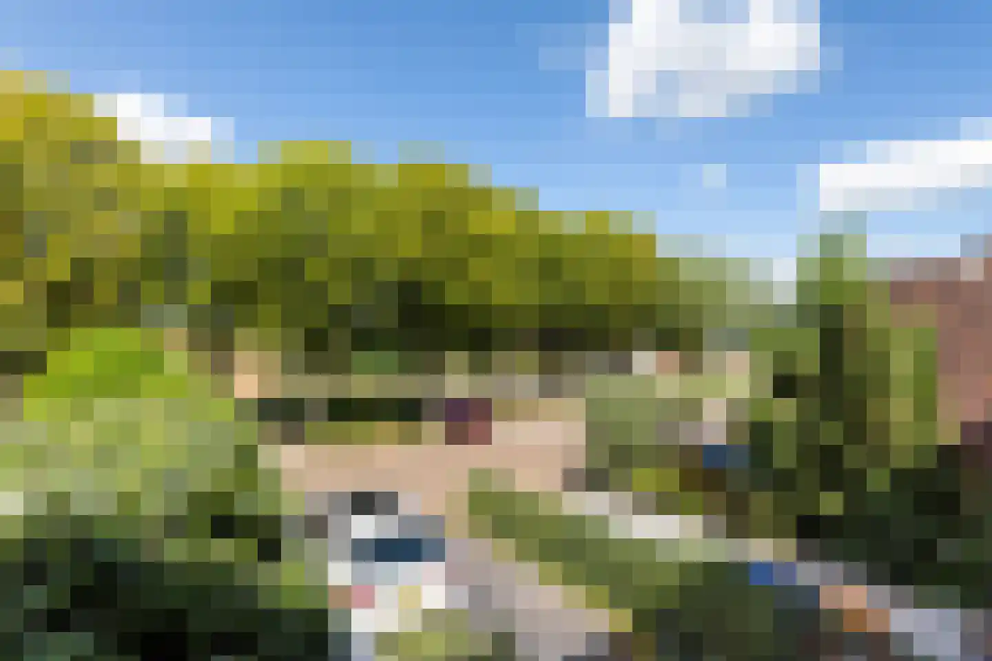Lauwers 40 Zwijndrecht thumbnail 19