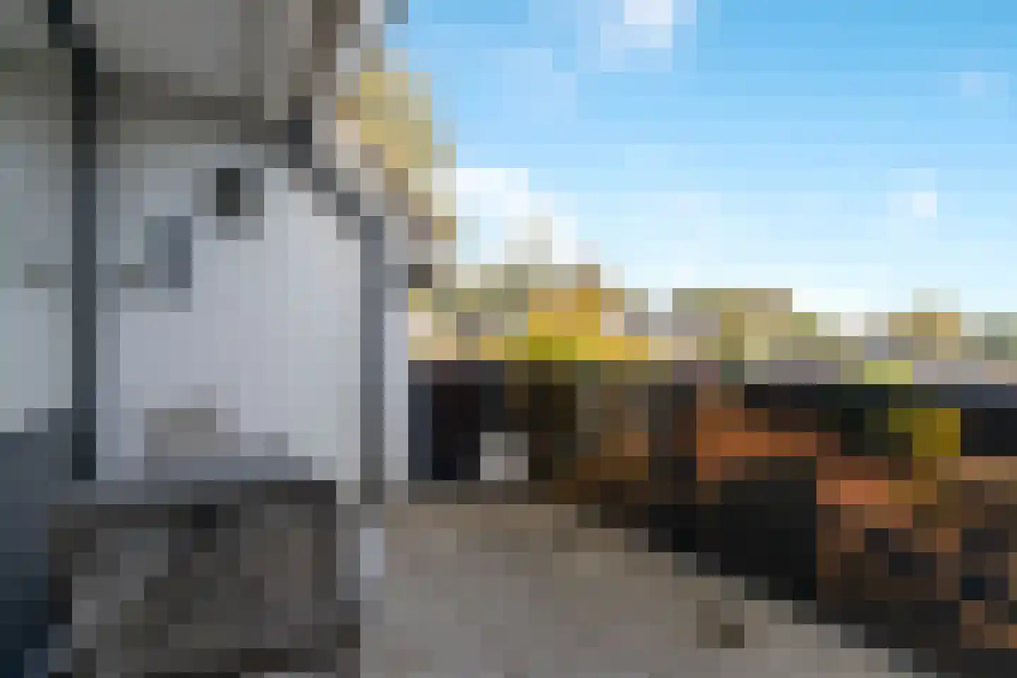 Lauwers 43 Zwijndrecht thumbnail 12