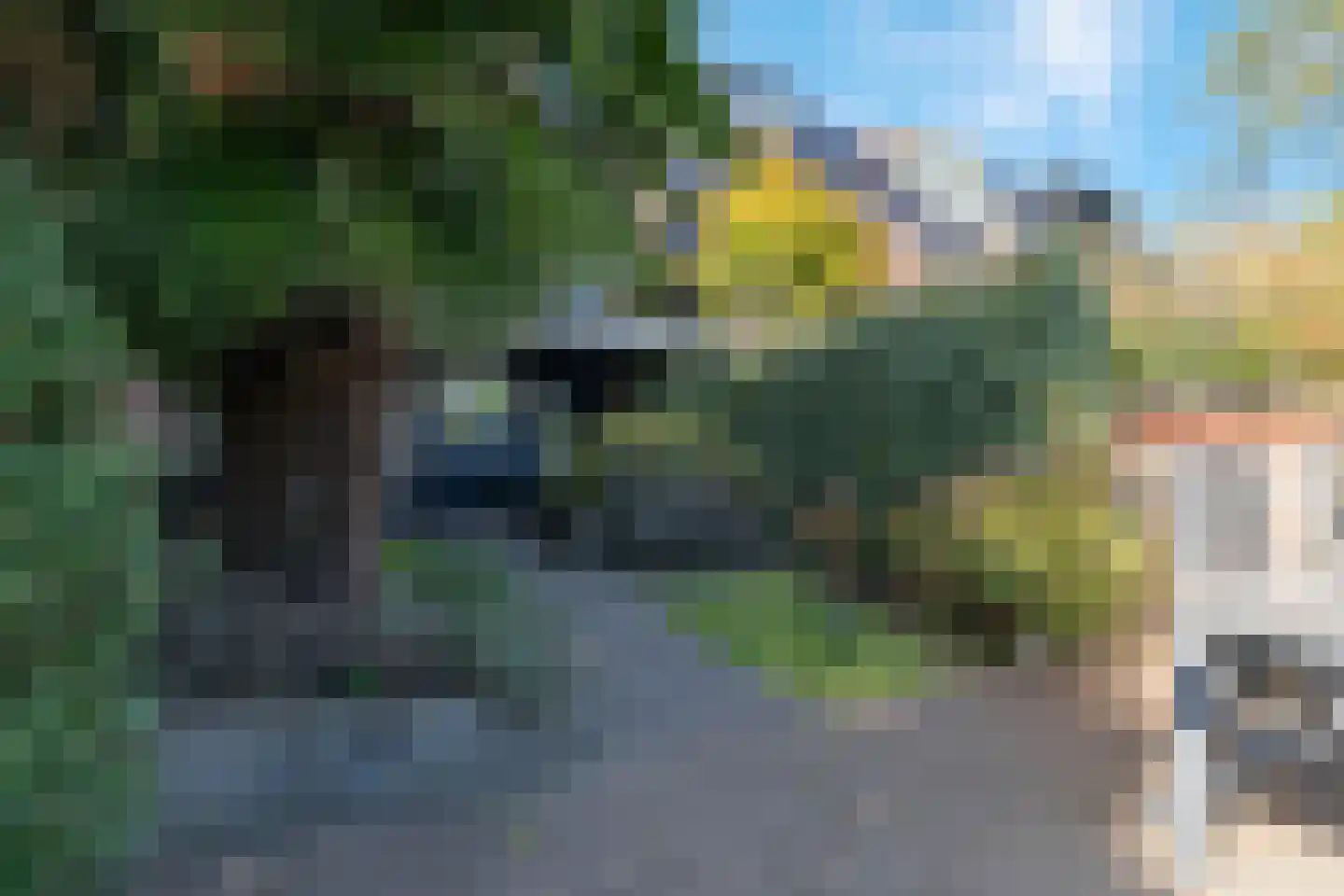 Lauwers 43 Zwijndrecht thumbnail 49
