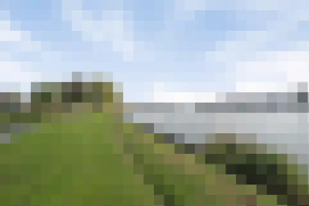 Lauwers 45 Zwijndrecht thumbnail 4