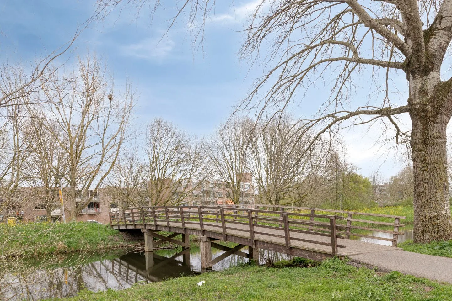 Lauwers 66 Alphen aan den Rijn thumbnail 48