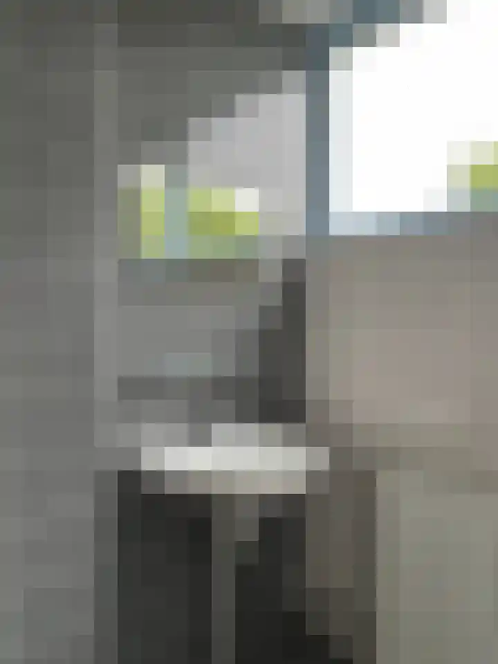 Lauwers 68 Alphen aan den Rijn thumbnail 10