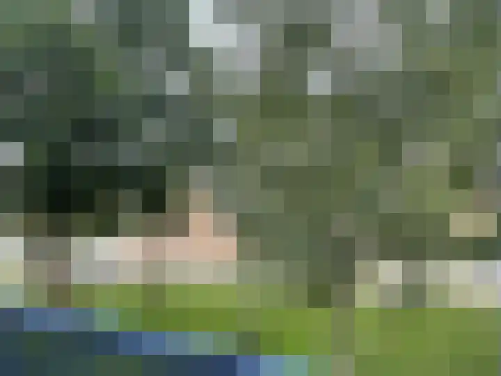Lauwers 68 Alphen aan den Rijn thumbnail 16