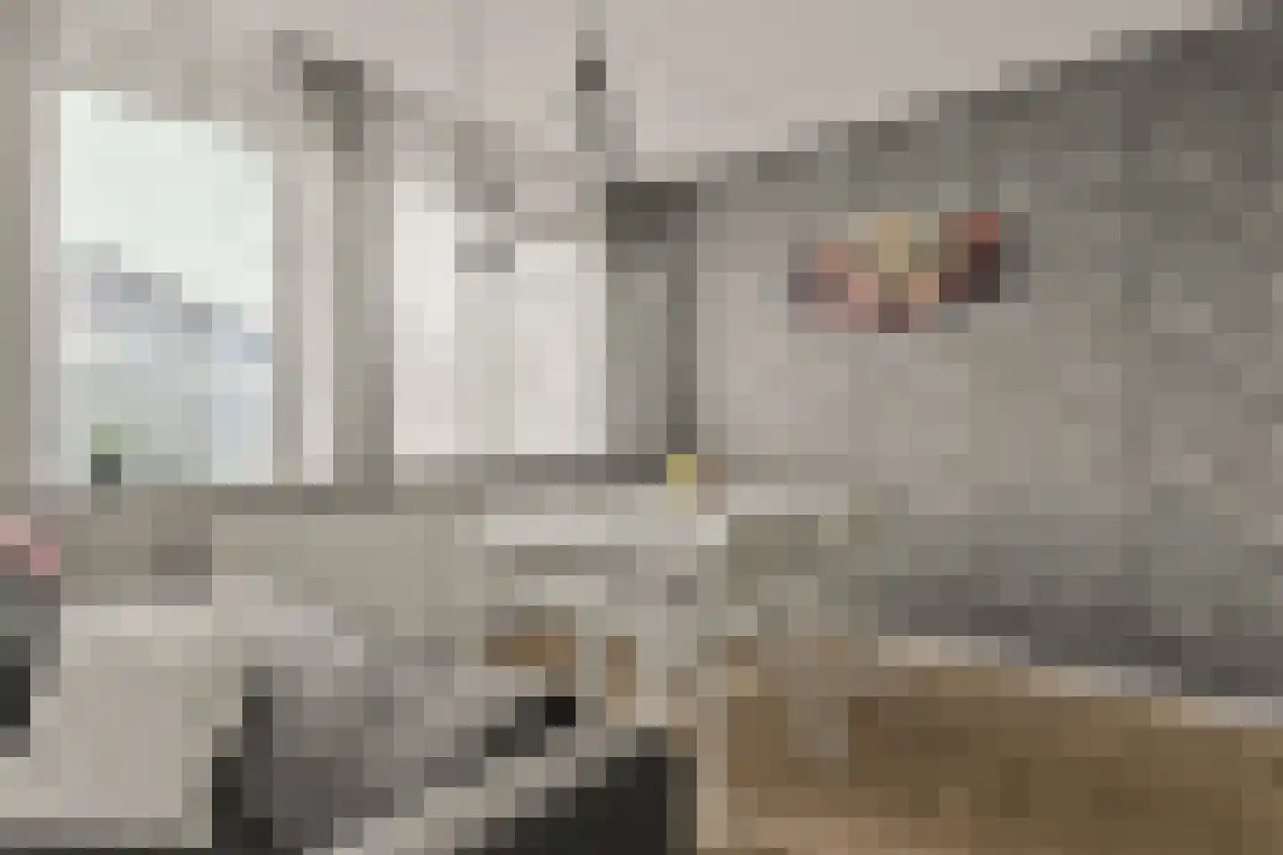Lauwers 8 Hoofddorp thumbnail 15