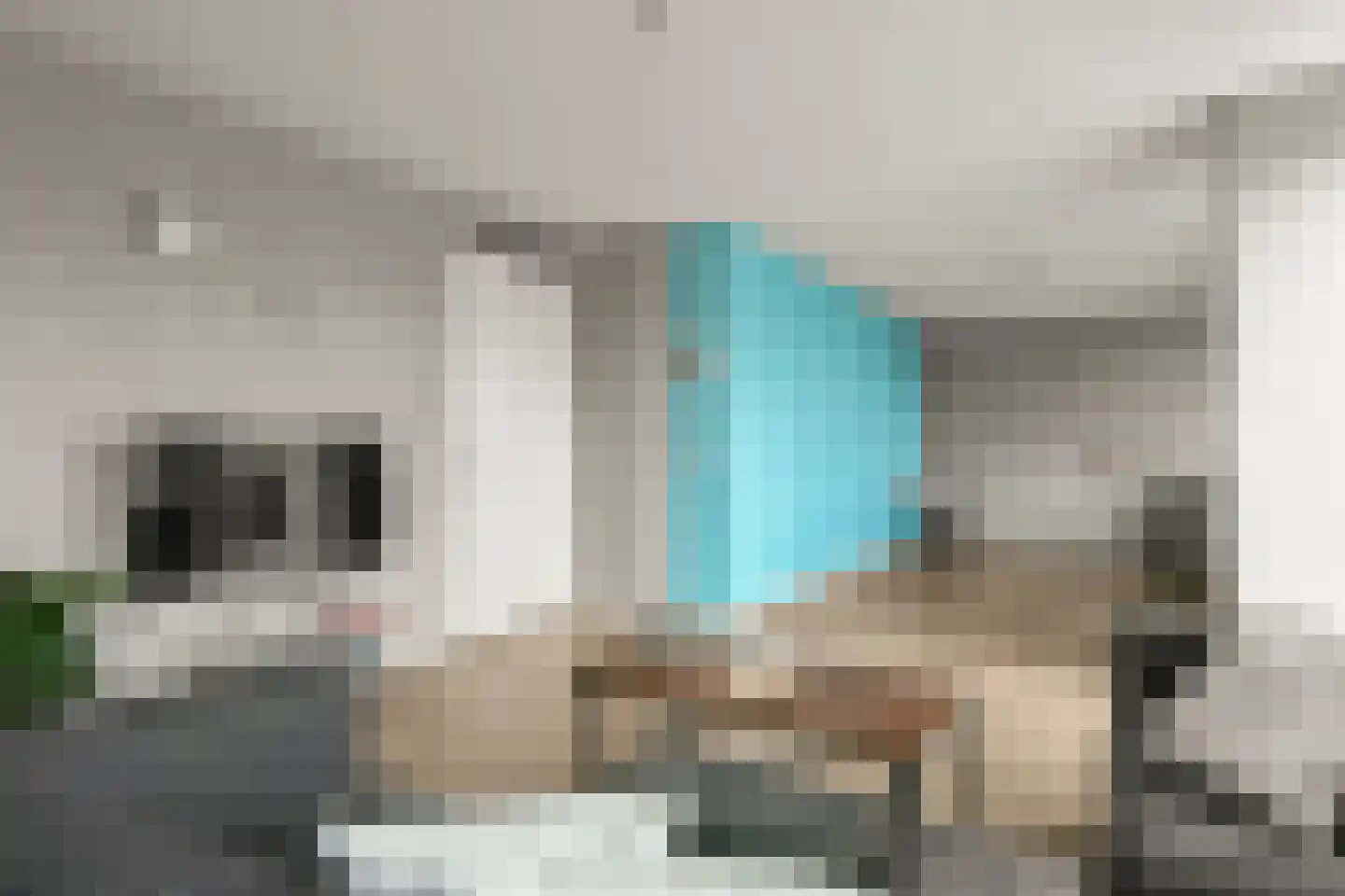 Lauwers 8 Hoofddorp thumbnail 17