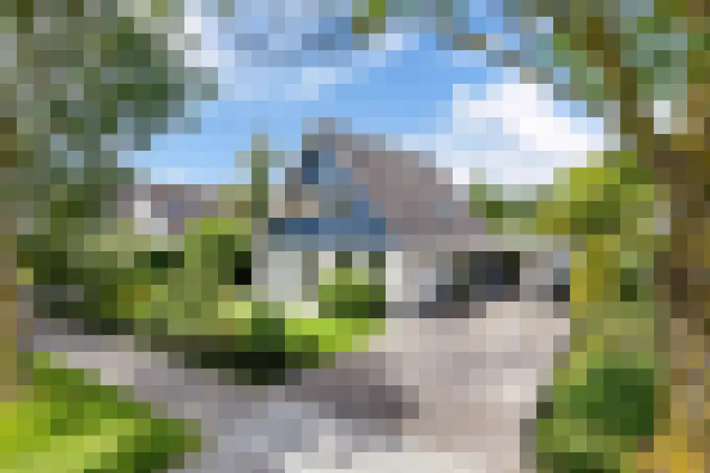 Lauwers 9 Sneek
