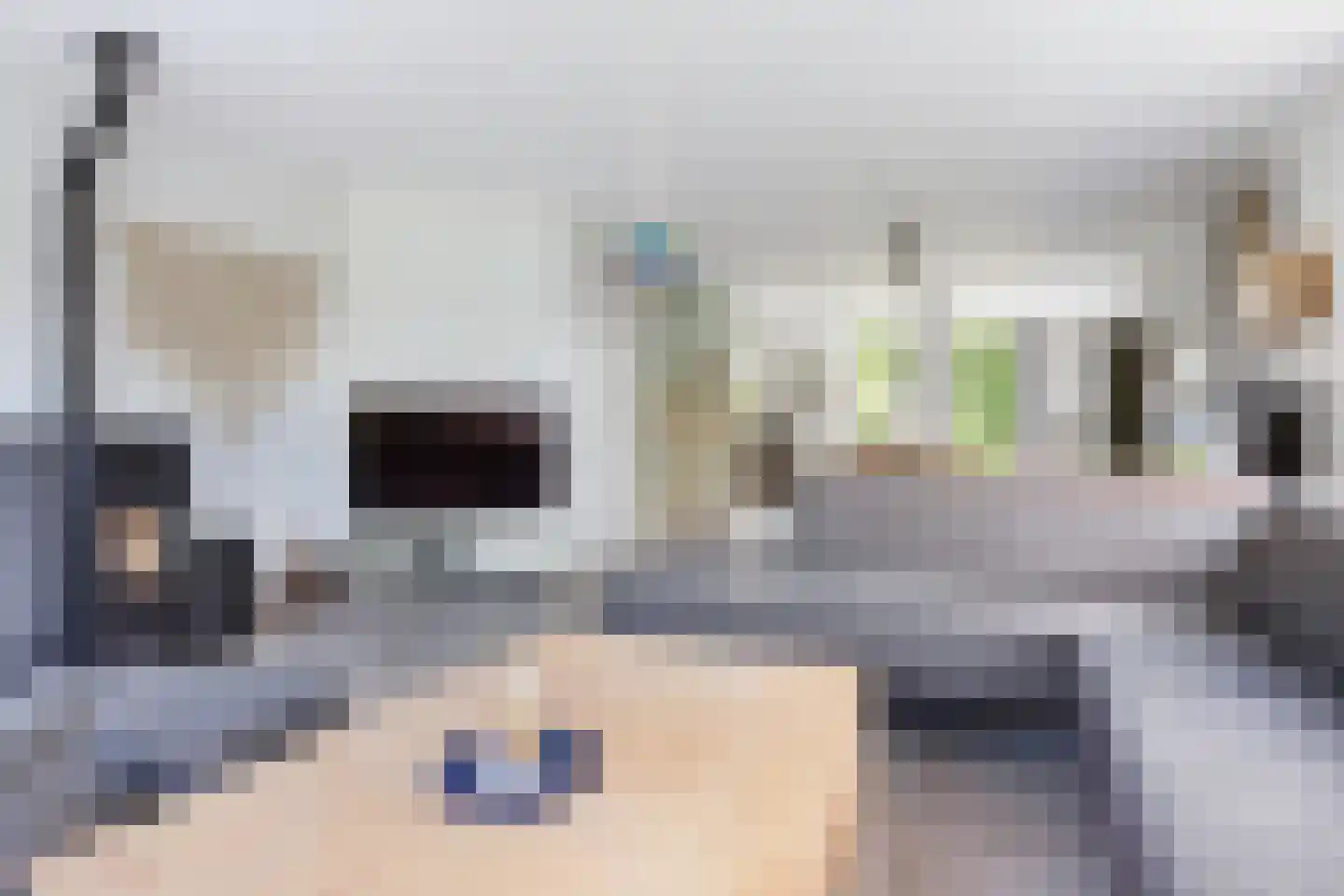 Lauwers 9 Sneek thumbnail 18