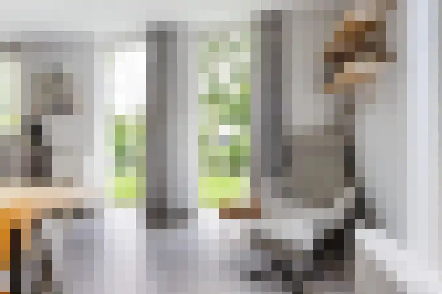 Lauwers 9 Sneek thumbnail 21