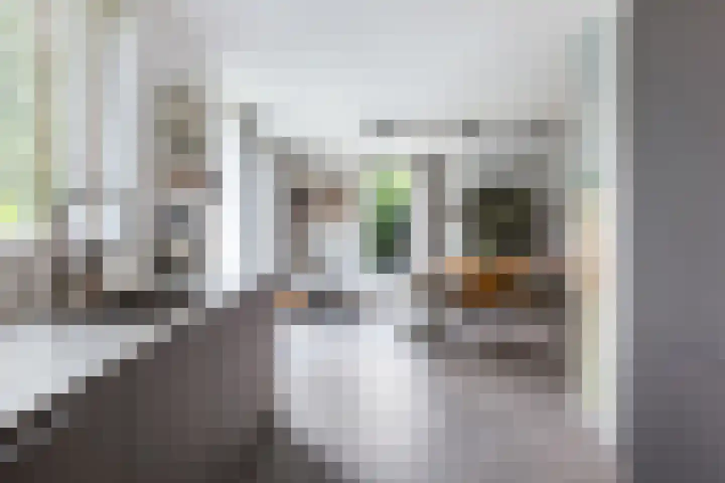 Lauwers 9 Sneek thumbnail 27