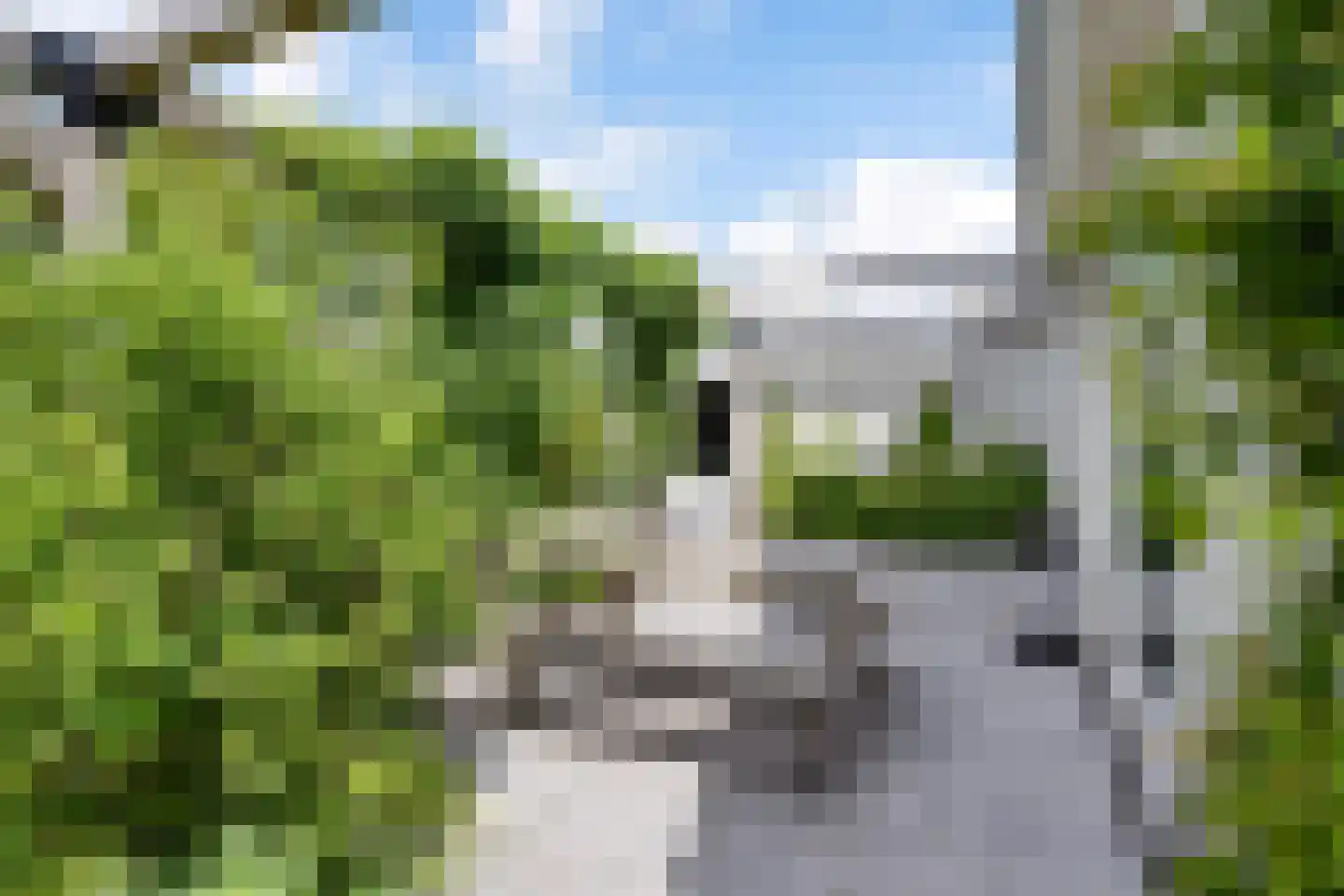 Lauwers 9 Sneek thumbnail 33