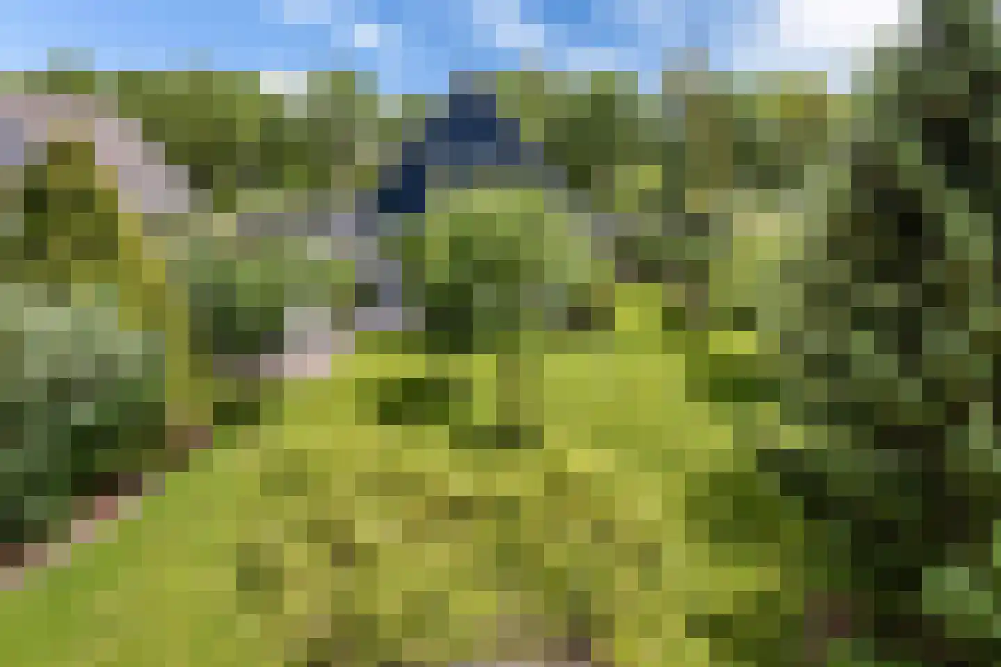 Lauwers 9 Sneek thumbnail 34