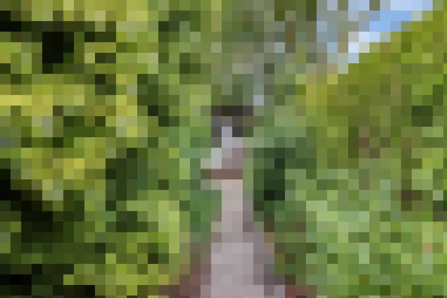 Lauwers 9 Sneek thumbnail 35
