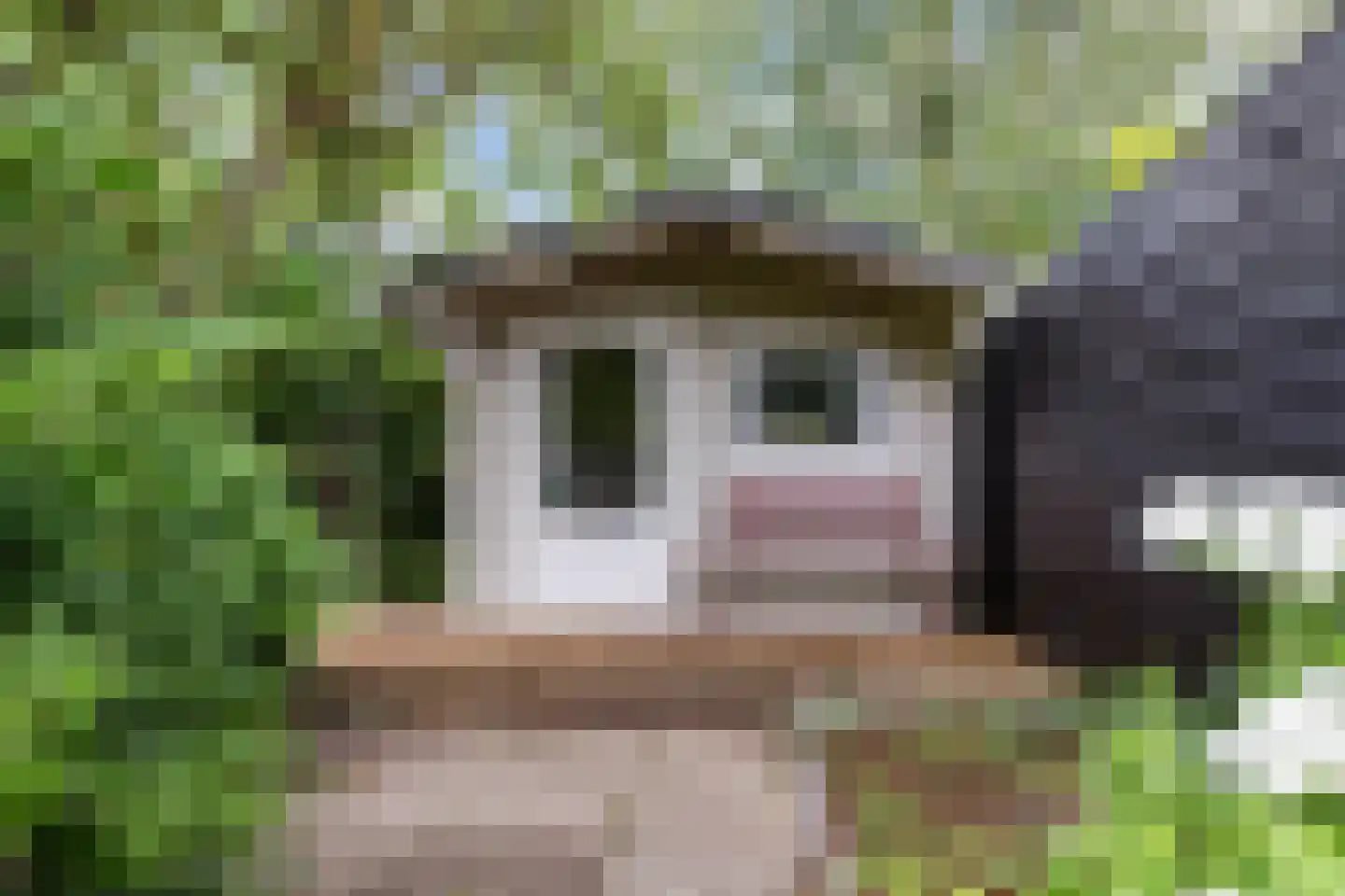 Lauwers 9 Sneek thumbnail 36