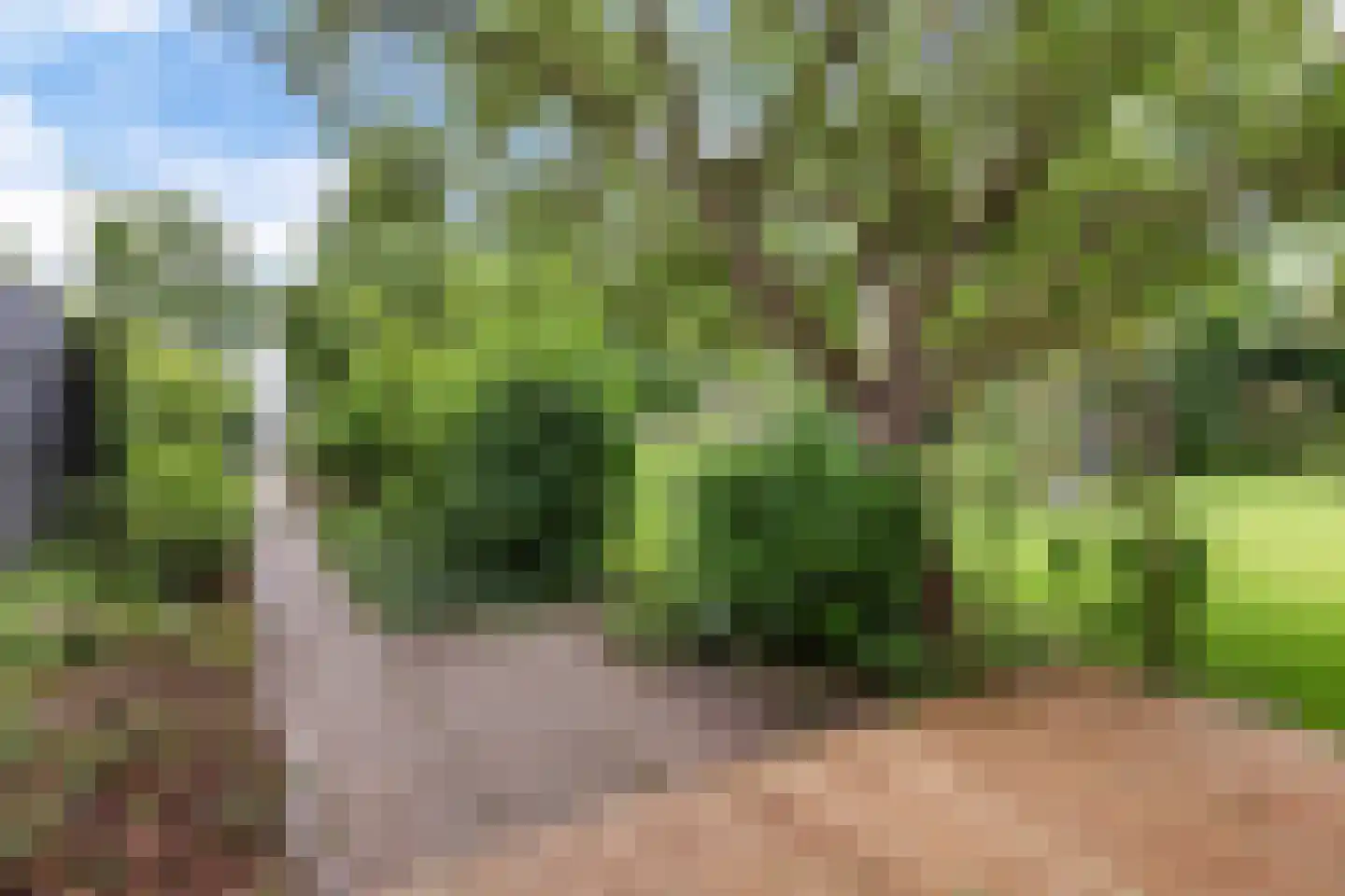Lauwers 9 Sneek thumbnail 37