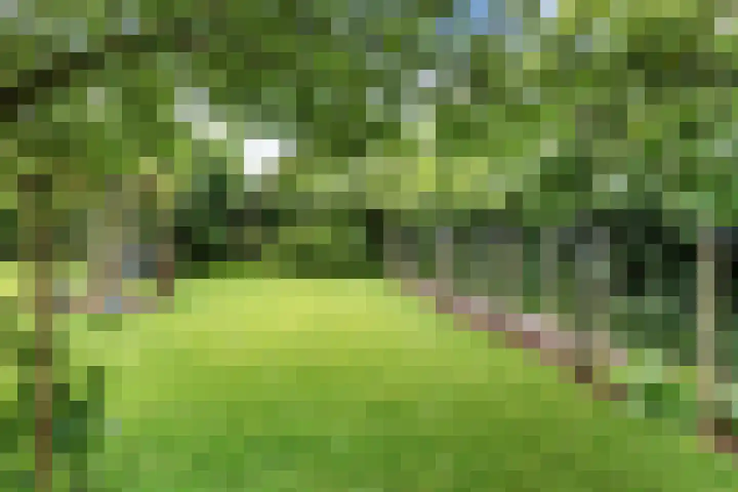 Lauwers 9 Sneek thumbnail 38