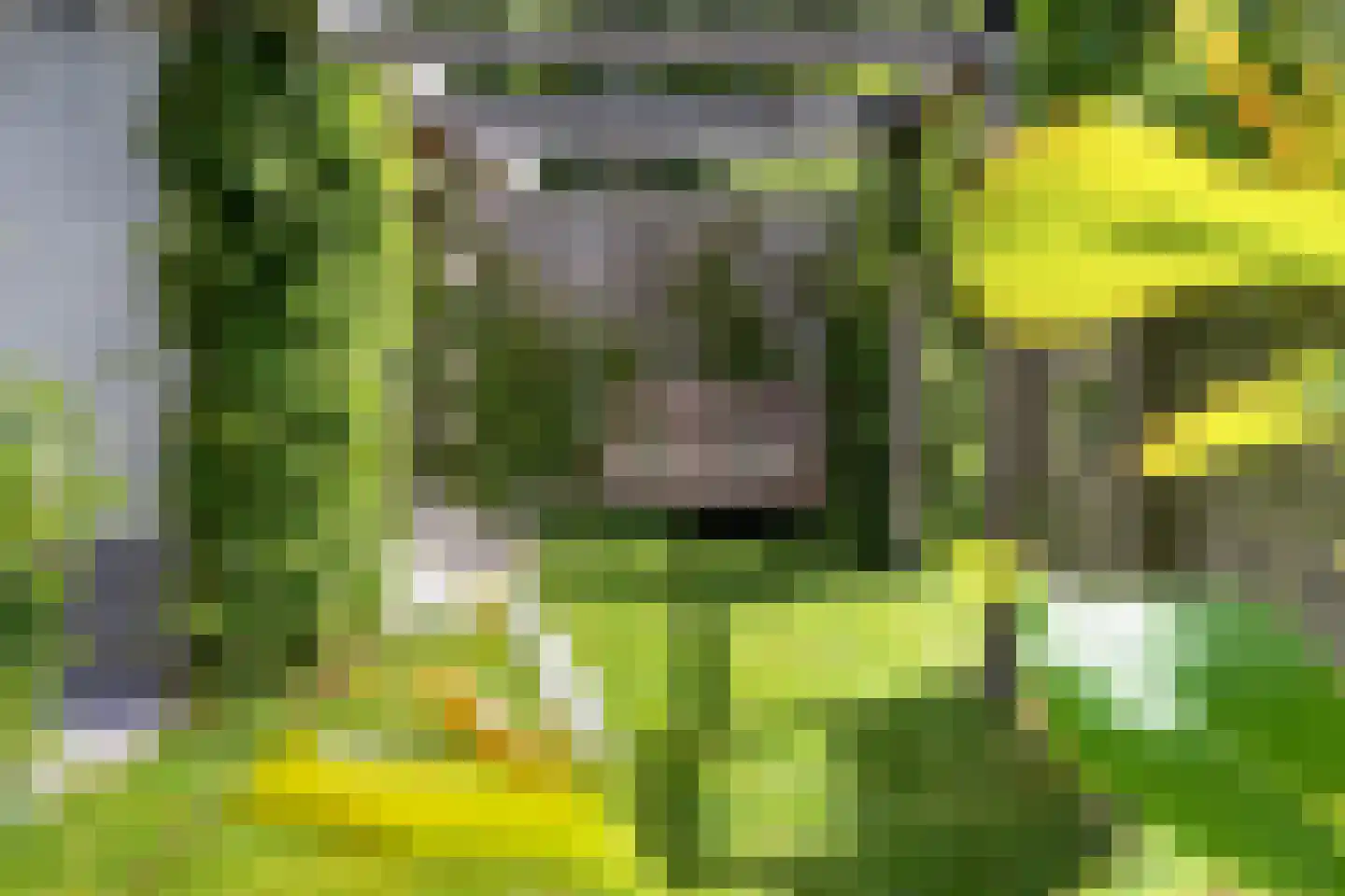 Lauwers 9 Sneek thumbnail 42