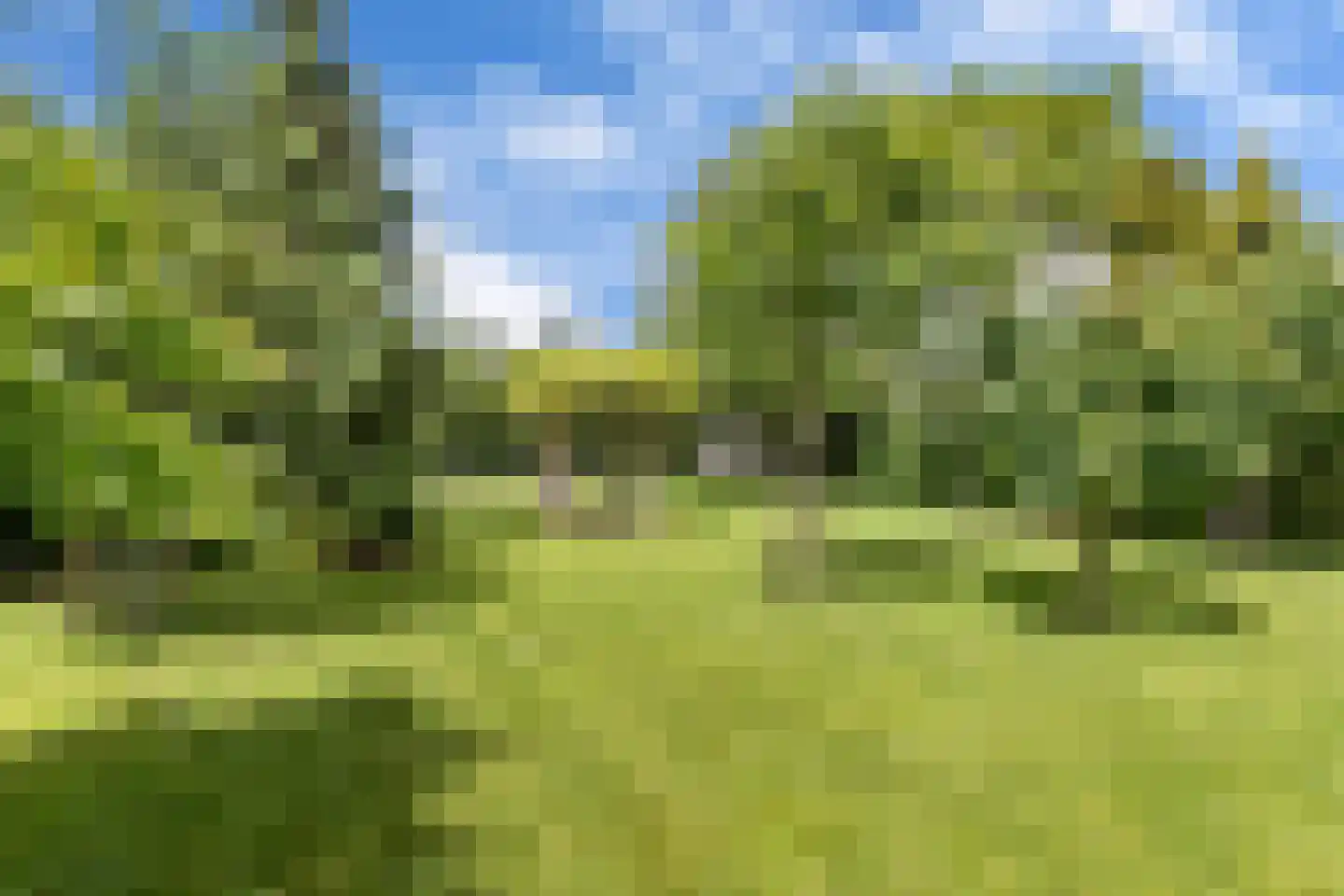 Lauwers 9 Sneek thumbnail 43