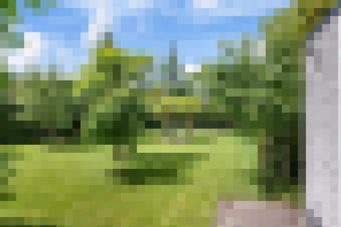 Lauwers 9 Sneek thumbnail 44